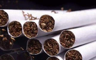 春节出行提醒 携带卷烟需谨慎，以下是重要注意事项